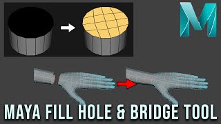 Maya Fill Hole & Bridge Tool [Maya Tutorials] (2022)