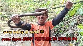 MANTAP‼️TERNYATA BEGINI RASANYA MANCING BELUT DI SUNGAI💥💥