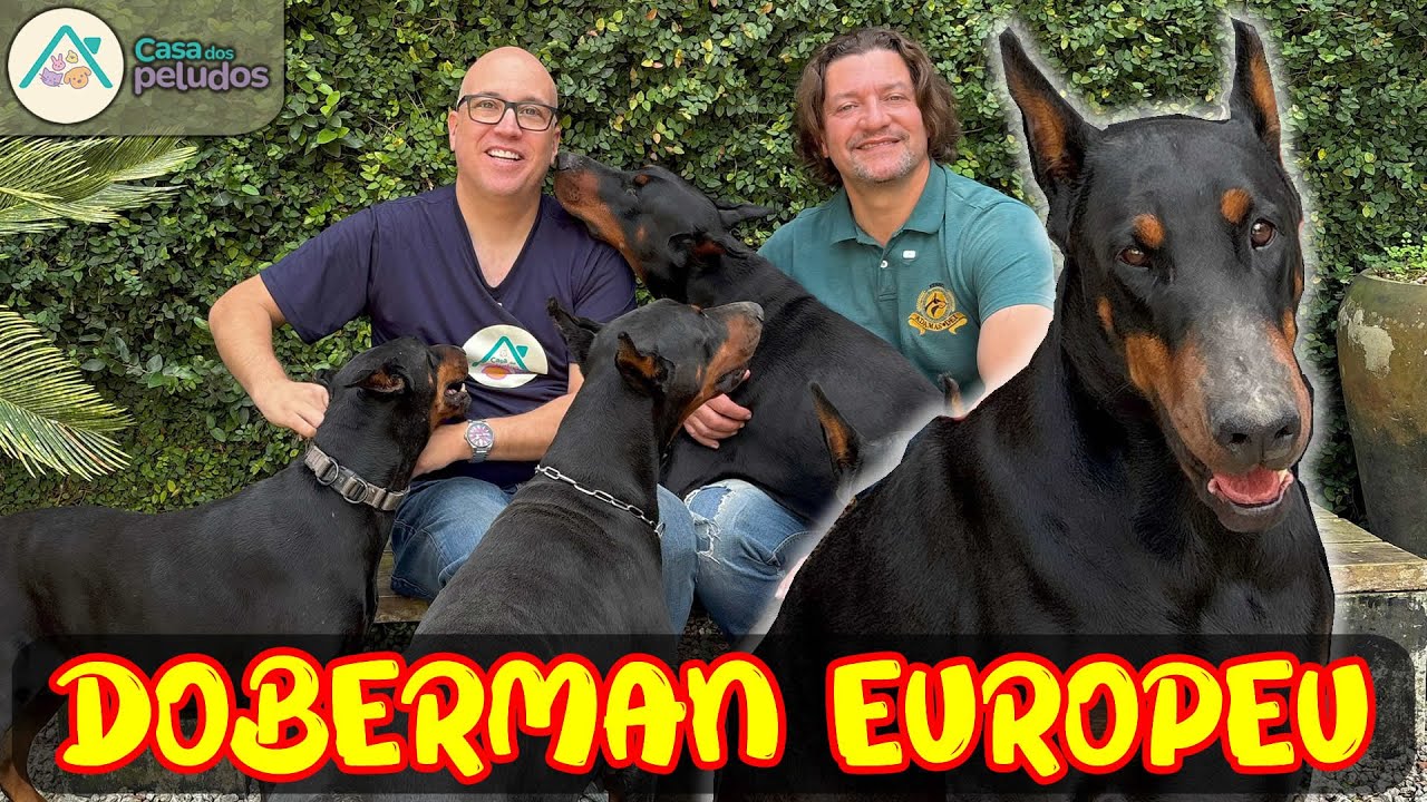 DOBERMAN EUROPEU: A Verdade Sobre a Raça! Entrevista Exclusiva com Leonardo Gregori!