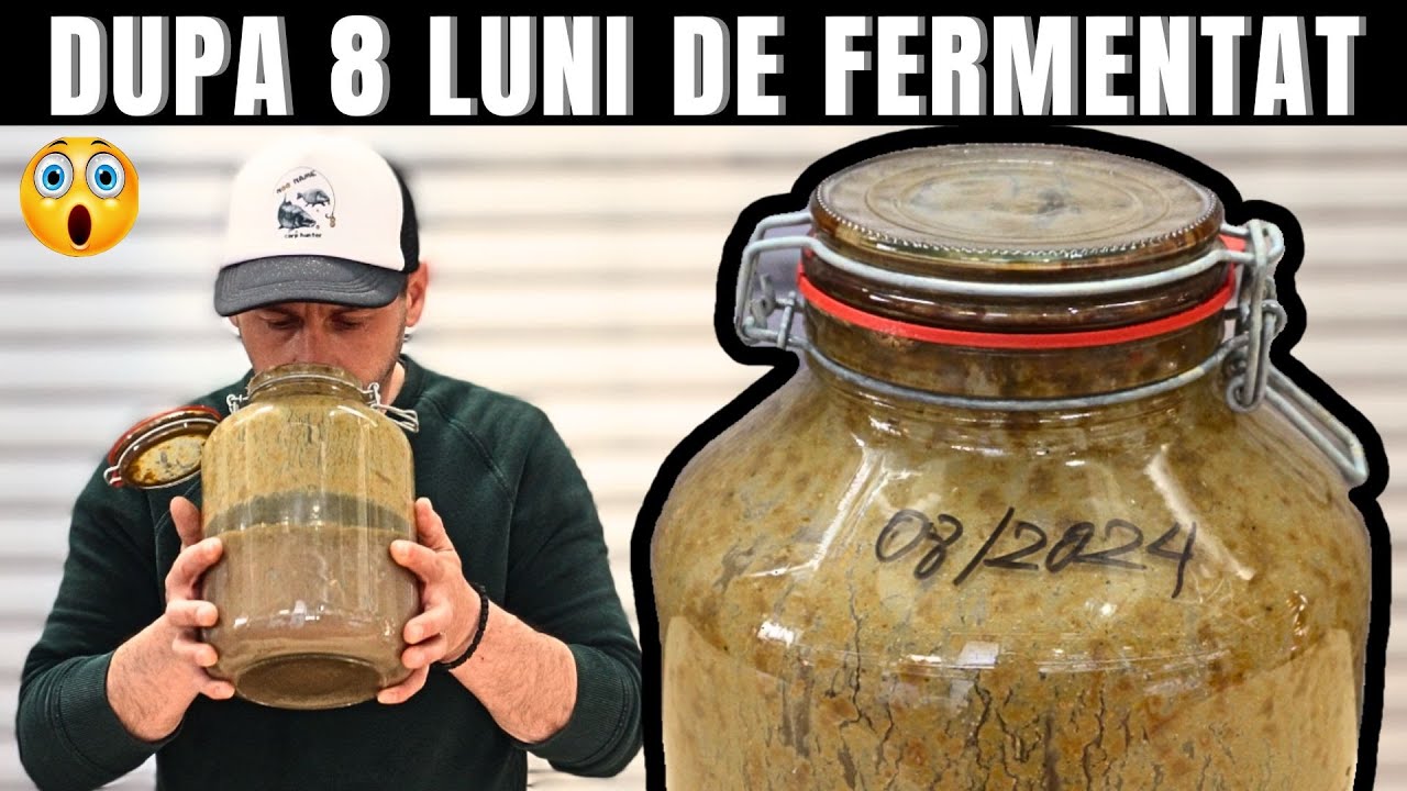 Am fermentat pește 8 luni pentru pescuit – Rezultatul e șocant!