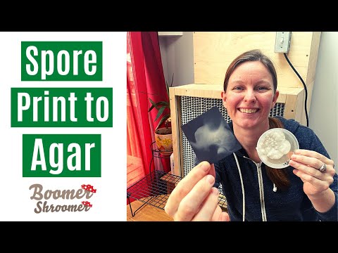 How to Inoculate