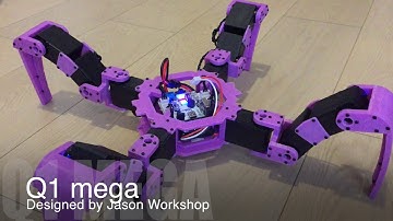 Q1 mega Quadruped Robot (Designed by Jason Workshop)
