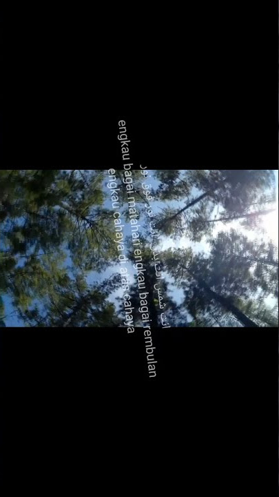 Sholawat anta Syamsun anta Badrun merdu terbaru #shorts