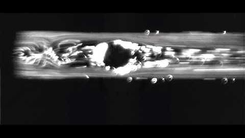 nonnewtonian fluid flow microfluidics fr6000 fps 500