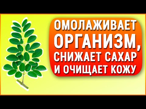 ОНО снижает сахар, улучшает память, зрение, запускает очищение организма - аутофагию, даёт энергию!