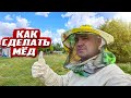 Как сделать мёд? Родная деревня Удеревка