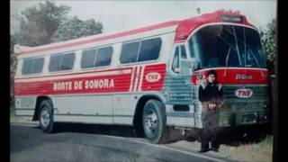 Autobuses Norte de Sonora | Grupo Tres Estrellas de Oro y Grupo Estrella Blanca
