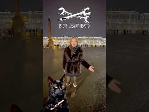 Мяу 😻Что общего между Лизой и котами в Эрмитаже?Из метро 🏴☠️ #izmetro #изметро