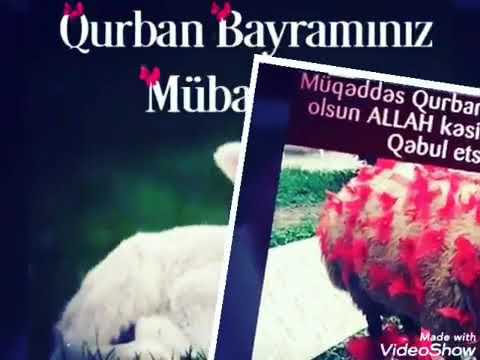 Qurban bayramına aid video