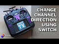 Change channel direction via a switch in edgetx viewer request