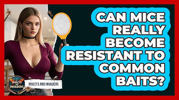 Can Mice Really Become Resistant To Common Baits? - Insects and Invaders