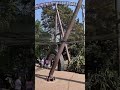 Rita is back at alton towers #rollercoaster #altontowers #themepark