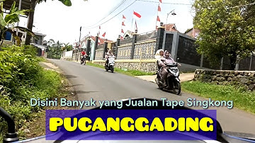Suasana Desa Pucanggading Bandar. Mulus Dalane