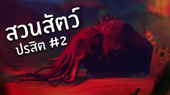 ก้านกล้วย หมูเด้ง เส้นจราจร | Zoochosis #2