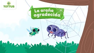 Cuento 53: La araña agradecida | TOTTUS