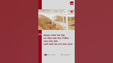 Quang cảnh thư viện có tổng diện tích lên tới 7.5ha: Cảm giác như ngồi dưới tán cây đọc sách | TTGĐ