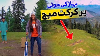 Playing Cricket at Such a Height is Nothing Short of a Dream screenshot 4