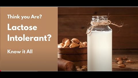 Lactose Intolerance. Everything You Need To Know