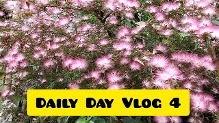 Daily Day Vlog 4🫰 आज त जोरोले साहरो पारयो।