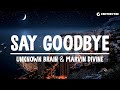 Unknown brain  say goodbye lyrics ft marvin divine