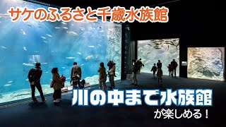 『さあ、でかけよう！ー歴史と文化のバリアフリーチャンネルー』サケのふるさと千歳水族館