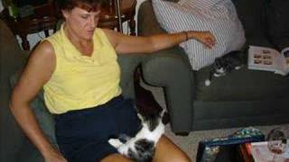 My Pussies Are The Cutest