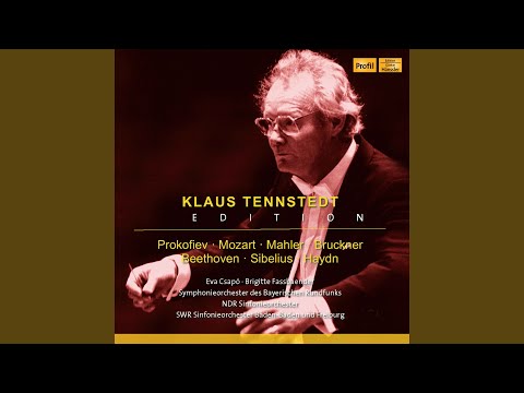 Violin Concerto in D Minor, Op. 47: III. Allegro, ma non tanto