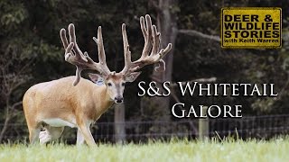 The Bone Factory | S&S Whitetail Galore