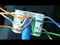 How to wire and punch down RJ45 jack for a wall plate