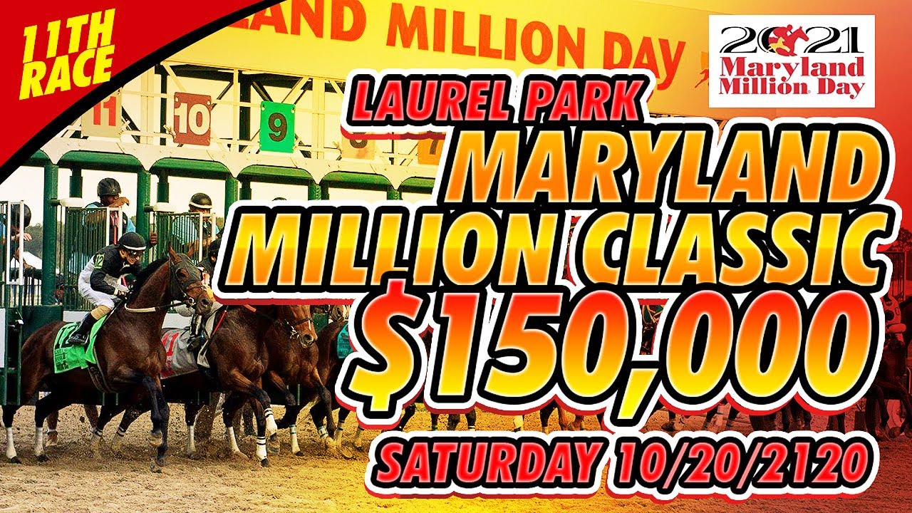 2021 Maryland Million Classic Preview & Picks Laurel Park 11th Race