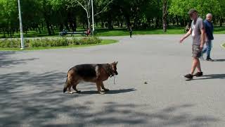 De 1 Mai 2023 prin Parcul Tineretului