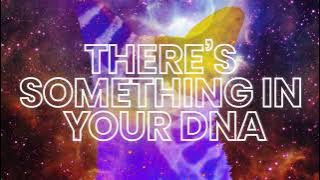 Craig David & Galantis - DNA