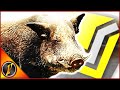 Hunting "Sausage" the Diamond Wild Boar! | Hirschfelden Missions