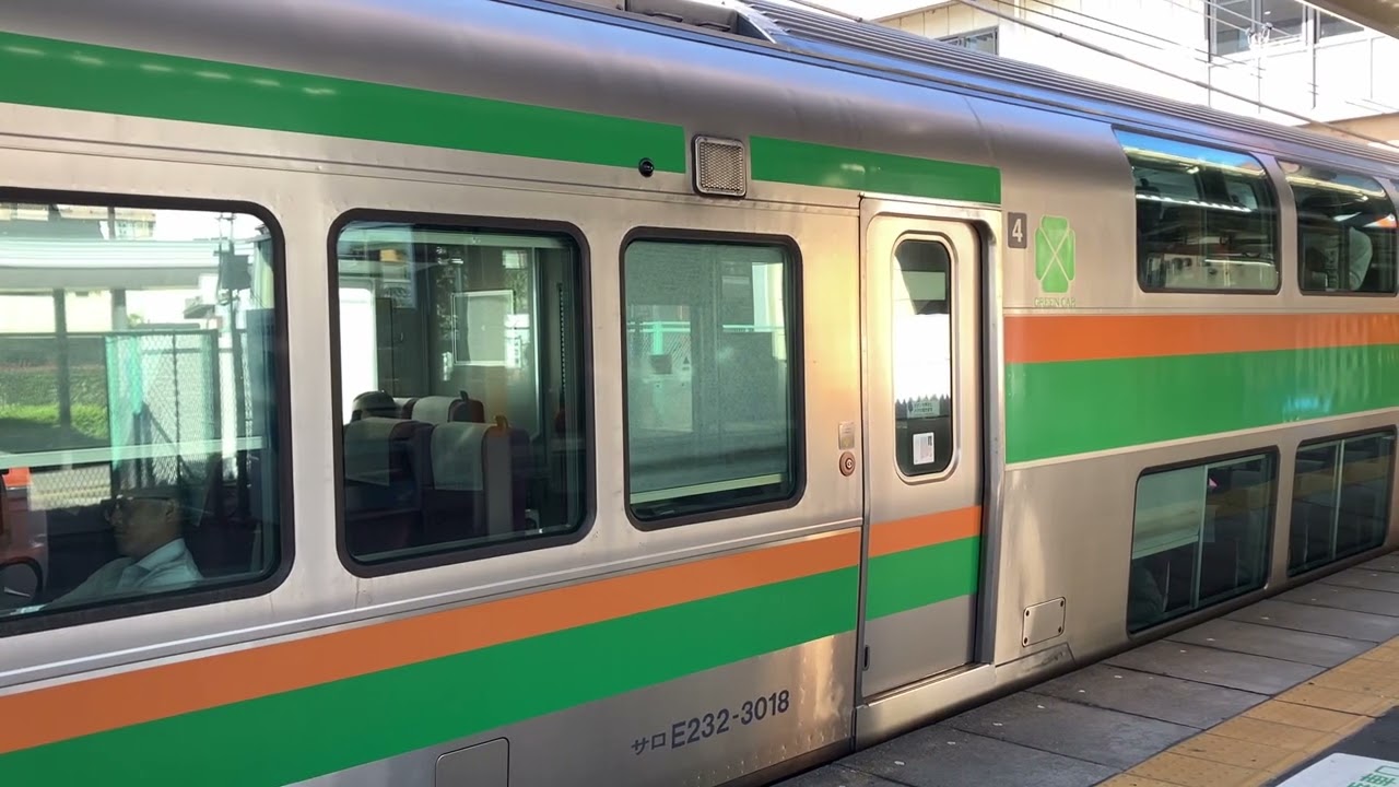 E233系3000番台(10両)湘南新宿ライン 東海道線直通 特別快速 小田原行き 本庄駅 1番線到着＆発車するだけの動画
