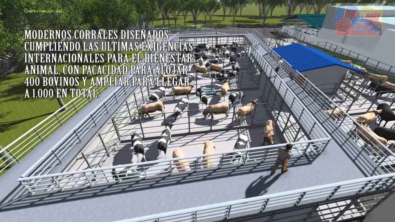 PLANTA DE BENEFICIO ANIMAL EN BOSCONIA CESAR - YouTube
