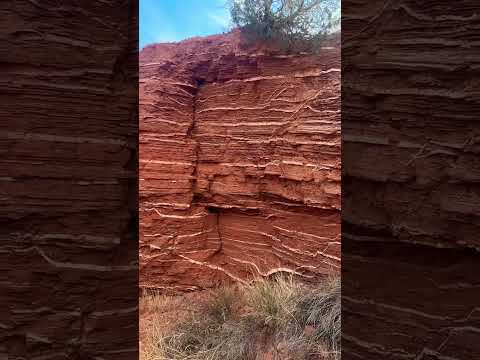 Video: Caprock Canyons Eyalet Parkı: Eksiksiz Kılavuz