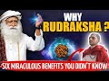 Its powerful 6 benefits of wearing rudraksha you didnt know  sadhguru