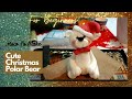 How To Make A Christmas Polar Bear Cake Topper - For Beginners / Christmas Cake