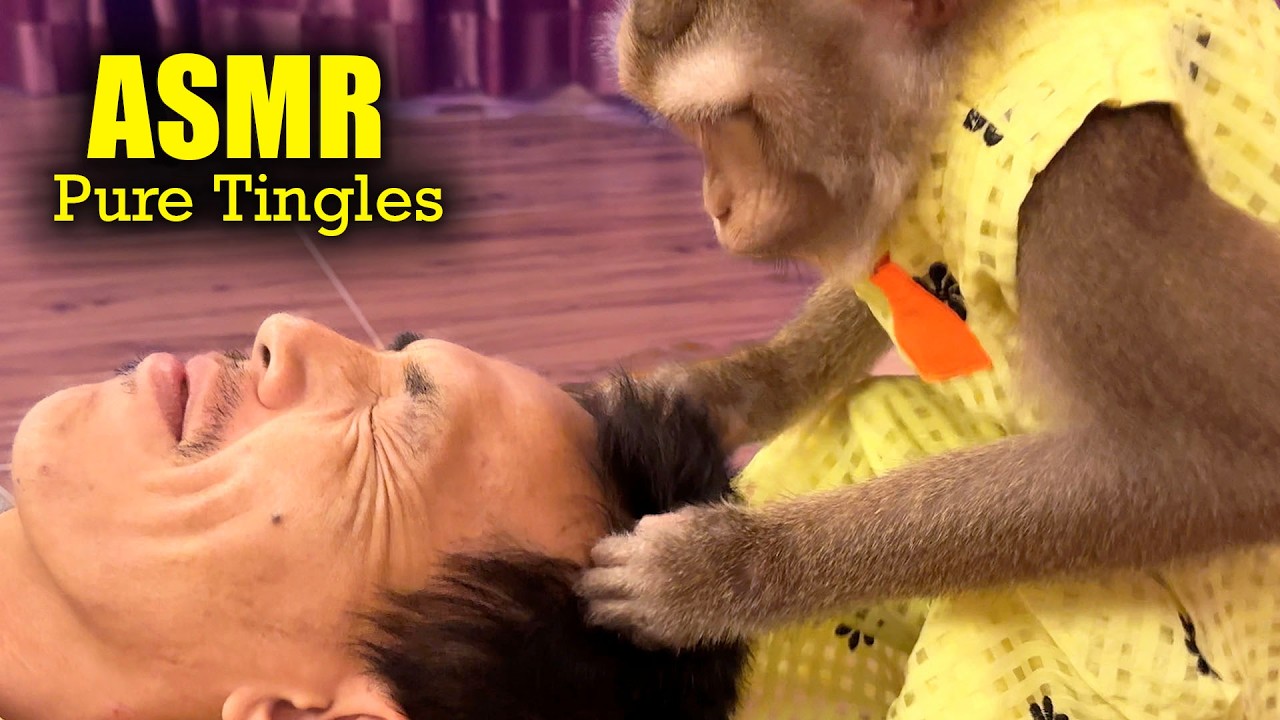 No Talking Monkey ASMR | 99 Minutes of PURE Mouth Sounds & Tingles