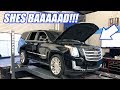 My WIFES Escalade Goes Back On The Dyno With The New FORGED Motor! Will It Be Enough Power For Her?