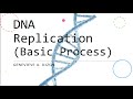Dna replication process