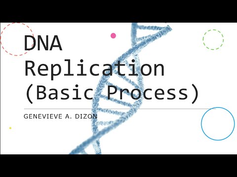 Video: Waarom is DNA-mikroskikking 'n belangrike hulpmiddel?
