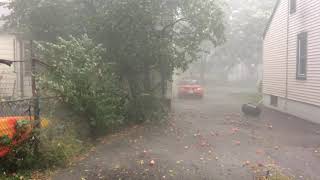 Brief video showing the intensity of thunder storm that moved through
ottawa on september 27, 2017. note how wind knocked apples off apple
tr...