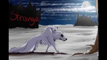 The Hanging Tree, PMV part 3