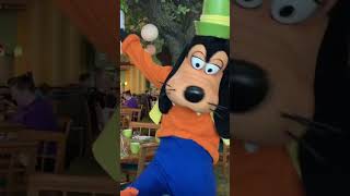 Hot Diggity Dog! Goofy Does the Hot Dog Dance in Walt Disney World! #Shorts #ShortsFeed #Disney #WDW