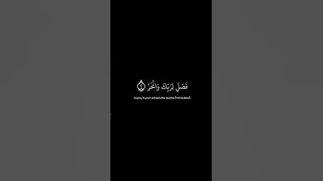 سورة الكوثر عبد الرحمن مسعد كروما شاشة سوداء