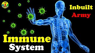 What is immune system?