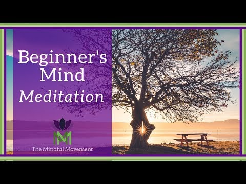 Video: Praktika E Mindfulness - Pjesa 2