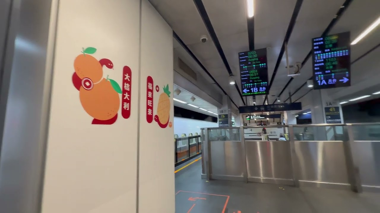 2025.1.11 台灣高鐵 台北車站第1月台 台北站發車 203次 Taiwan High Speed Rail