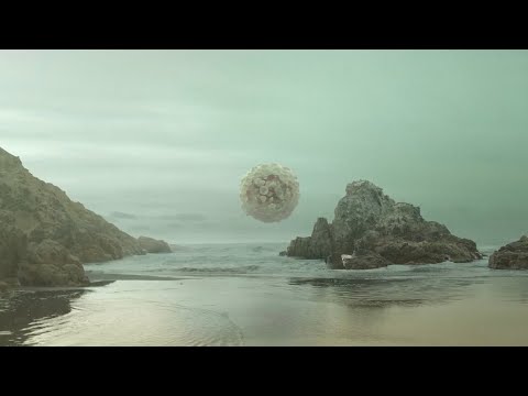Kanaku y El Tigre - #Ansolo